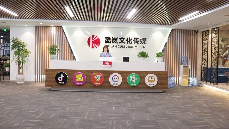 文化传媒公司盈利之道：如何打造高ROI内容矩阵